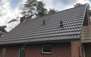 Dak na reinigen Velp