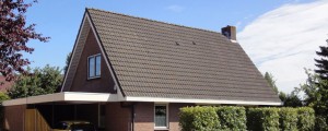 dakreiniging betonpannen