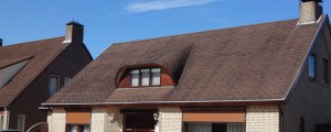 dakreiniging shingles