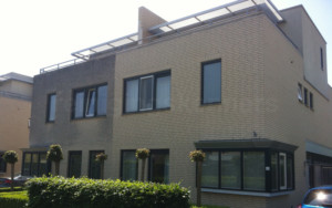 grauwe uitslag op gele baksteen
