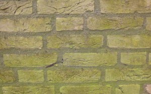 groene aanslag verwijderen