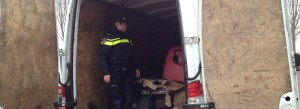 ierse dakreinigers