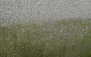 stucwerk reinigen