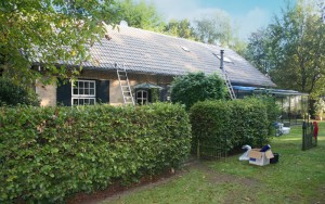 Den Bosch dakreiniging en dakcoating