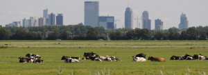 gevelreiniging dakreiniging zuid holland