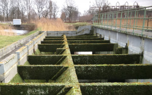 beton reinigen voor