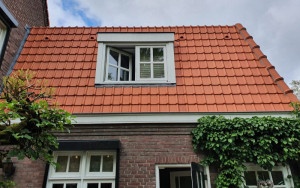 Waalre dakreiniging na