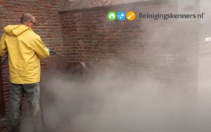 Klimop gevelreiniging