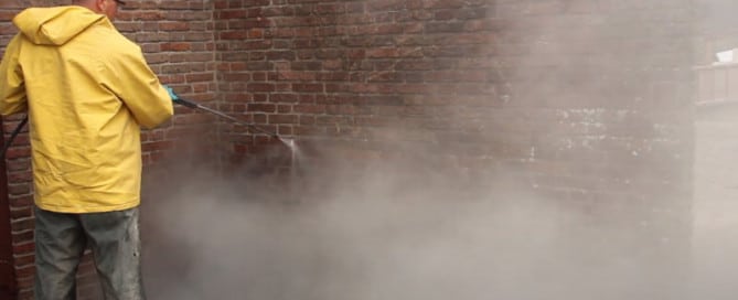 Klimop gevelreiniging