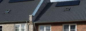 Betonnen dakpannen reinigen