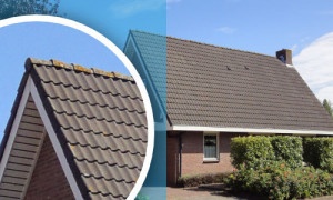 Betonpannen reinigen